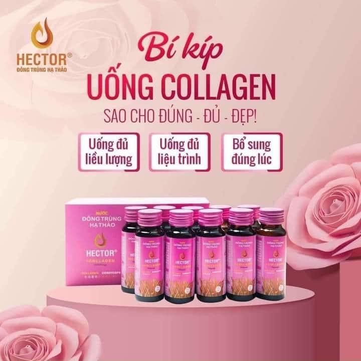 Bí kíp uống Hector Collagen - Hector Store
