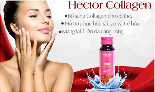 Hector collagen được sản xuất trong môi trường hoàn toàn khép kín