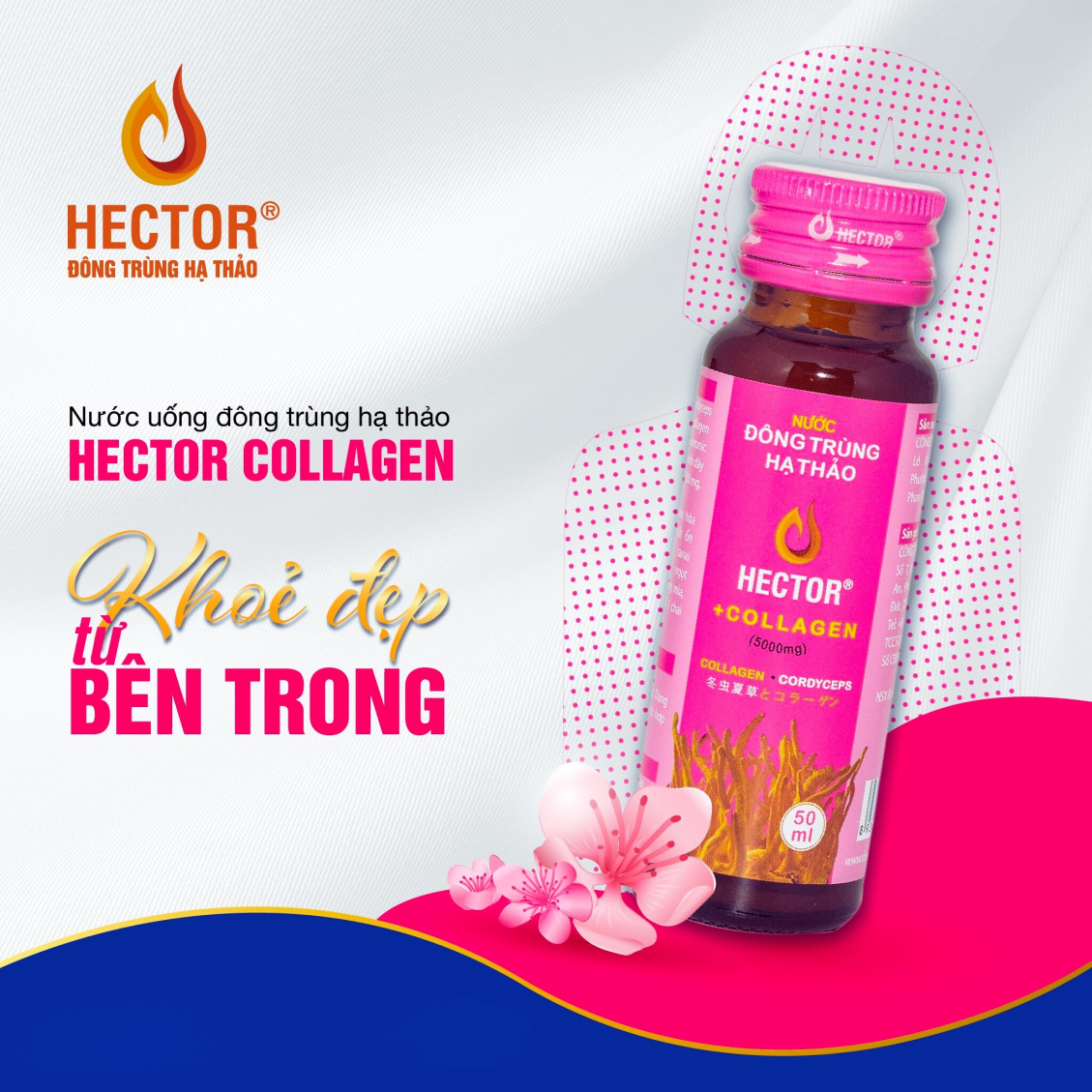 Nước Uống Collagen Hector: Bí Quyết Trẻ Hóa Da Từ Thiên Nhiên