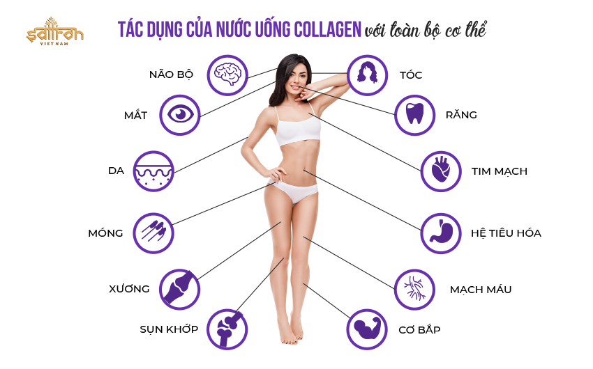 4. Tác dụng của collagen nước đối với sức khỏe xương khớp